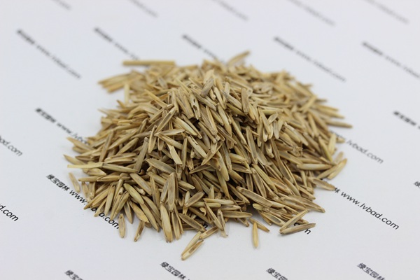 冰草<a href='http://m.fscangbo.com/' target='_blank'>種子</a>
