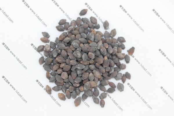 <a href='http://m.fscangbo.com/caohuazhongzi/1658.html' target='_blank'>紫茉莉</a><a href='http://m.fscangbo.com/' target='_blank'>種子</a>