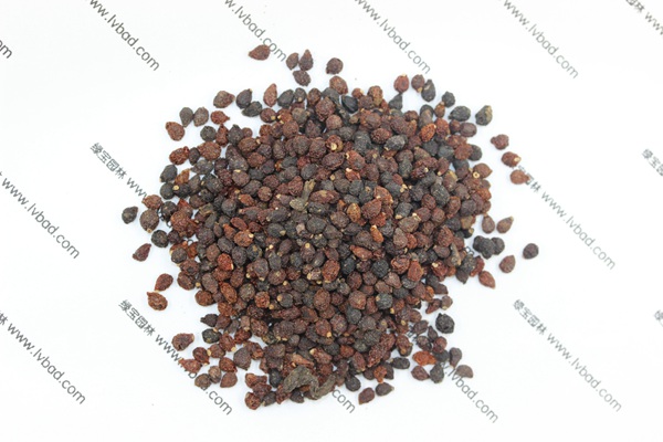 藍花<a href='http://m.fscangbo.com/caohuazhongzi/1578.html' target='_blank'>鳶尾</a><a href='http://m.fscangbo.com/' target='_blank'>種子</a>