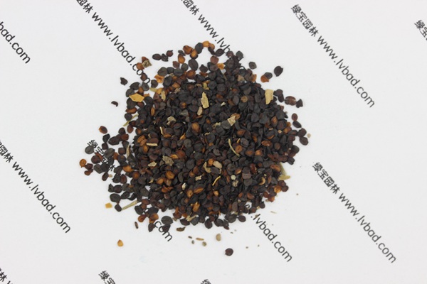 <a href='http://m.fscangbo.com/caohuazhongzi/1574.html' target='_blank'>康乃馨</a><a href='http://m.fscangbo.com/' target='_blank'>種子</a>