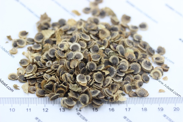 <a href='http://m.fscangbo.com/caohuazhongzi/1572.html' target='_blank'>錦葵</a><a href='http://m.fscangbo.com/' target='_blank'>種子</a> <a href='http://m.fscangbo.com/caohuazhongzi/1572.html' target='_blank'>錦葵</a><a href='http://m.fscangbo.com/' target='_blank'>種子</a>