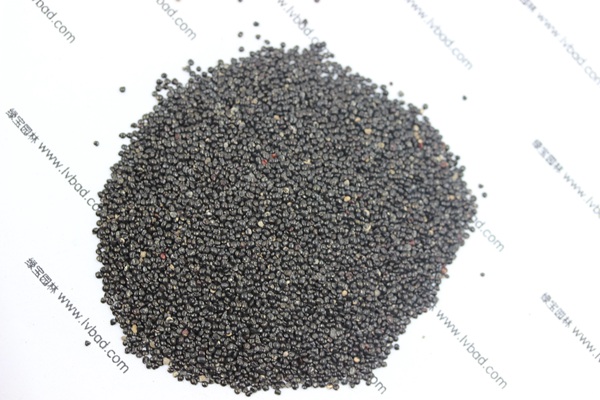 <a href='http://m.fscangbo.com/caohuazhongzi/1076.html' target='_blank'>雞冠花</a><a href='http://m.fscangbo.com/' target='_blank'>種子</a>