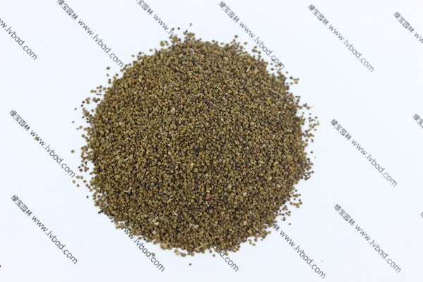<a href='http://m.fscangbo.com/caohuazhongzi/1022.html' target='_blank'>半枝蓮</a><a href='http://m.fscangbo.com/' target='_blank'>種子</a>
