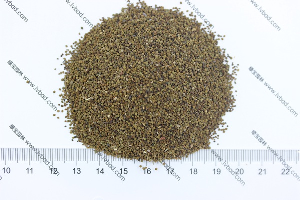 半枝蓮<a href='http://m.fscangbo.com/' target='_blank'>種子</a>