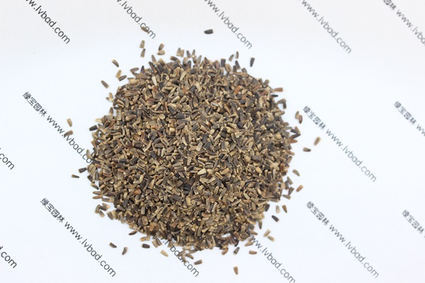 <a href='http://m.fscangbo.com/mucaozhongzi/14254.html' target='_blank'>菊苣</a><a href='http://m.fscangbo.com/' target='_blank'>種子</a>