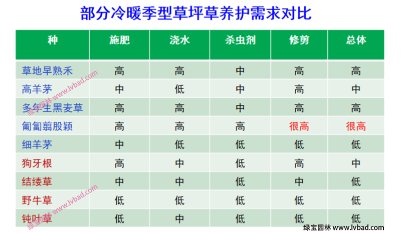 常用冷季型草坪養(yǎng)護(hù)難易度需求對比