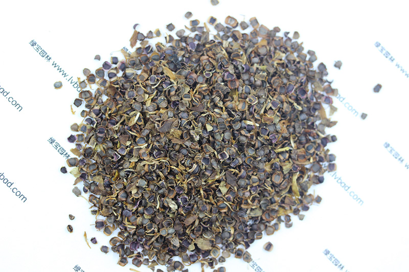 <a href='http://m.fscangbo.com/caohuazhongzi/1568.html' target='_blank'>金雞菊種子</a>