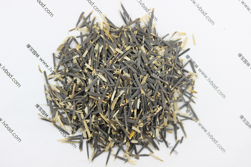 <a href='http://m.fscangbo.com/caohuazhongzi/1631.html' target='_blank'>萬(wàn)壽菊種子</a>