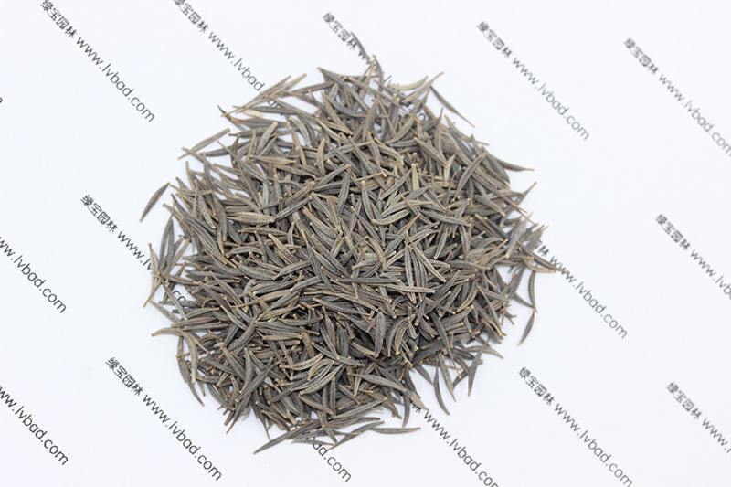 <a href='http://m.fscangbo.com/caohuazhongzi/1054.html' target='_blank'>格?；ǚN子</a>
