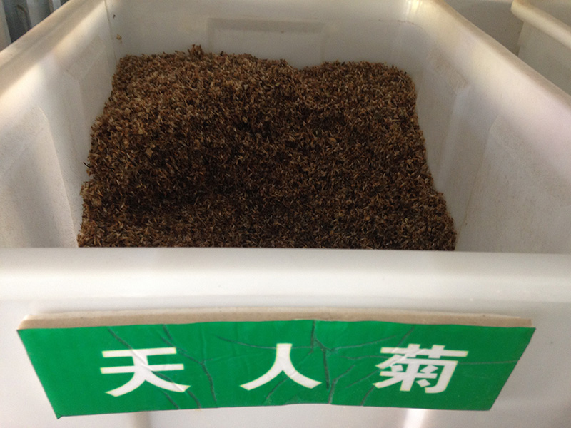 <a href='http://m.fscangbo.com/caohuazhongzi/16044.html' target='_blank'>天人菊</a><a href='http://m.fscangbo.com/' target='_blank'>種子</a>