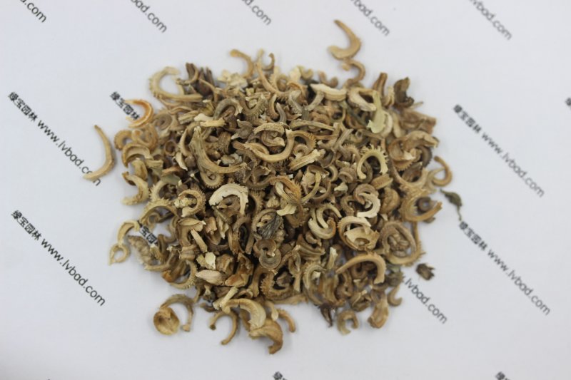 <a href='http://m.fscangbo.com/caohuazhongzi/1571.html' target='_blank'>金盞菊</a><a href='http://m.fscangbo.com/' target='_blank'>種子</a>圖片
